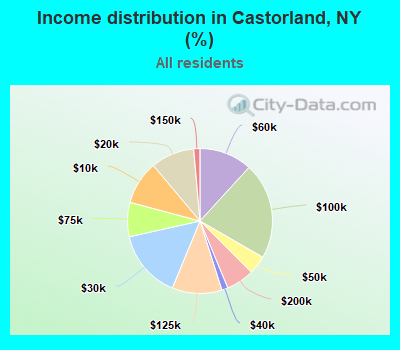 Income distribution in Castorland, NY (%)