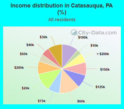 Income distribution in Catasauqua, PA (%)