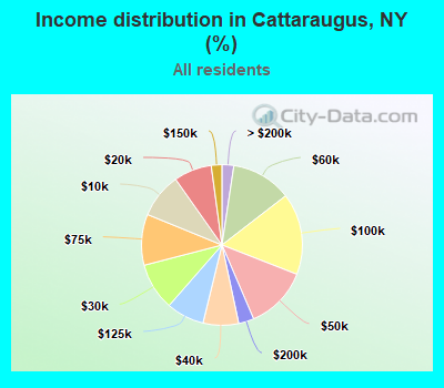 Income distribution in Cattaraugus, NY (%)