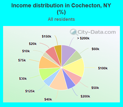 Income distribution in Cochecton, NY (%)