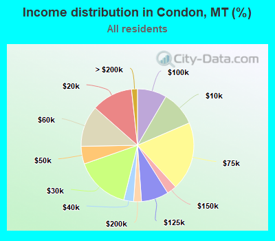 Income distribution in Condon, MT (%)