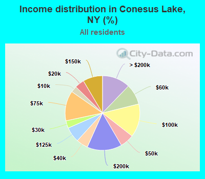 Income distribution in Conesus Lake, NY (%)