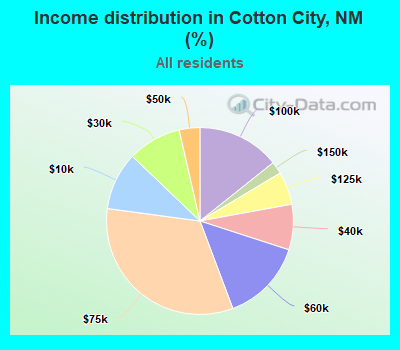 Income distribution in Cotton City, NM (%)