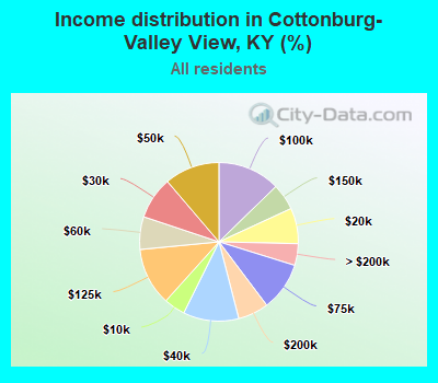 Income distribution in Cottonburg-Valley View, KY (%)