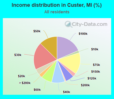 Income distribution in Custer, MI (%)