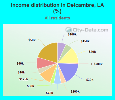 Income distribution in Delcambre, LA (%)