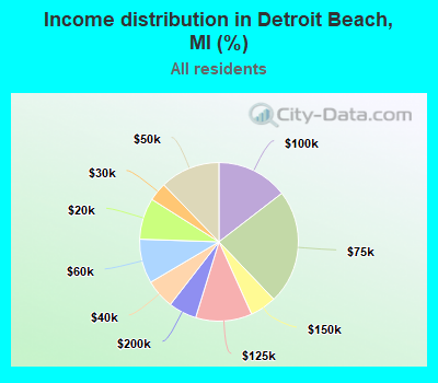 Income distribution in Detroit Beach, MI (%)