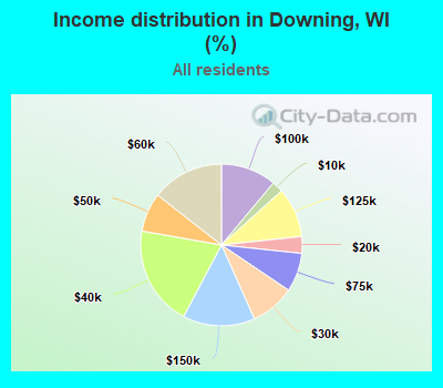 Income distribution in Downing, WI (%)