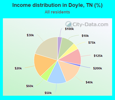 Income distribution in Doyle, TN (%)