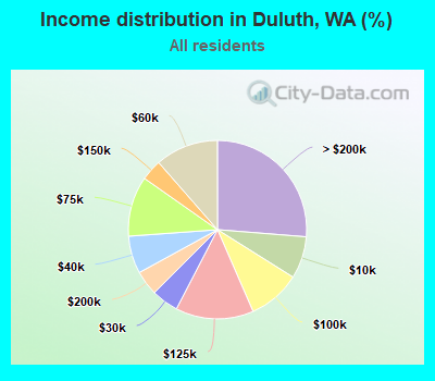 Income distribution in Duluth, WA (%)