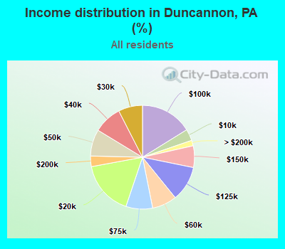 Income distribution in Duncannon, PA (%)
