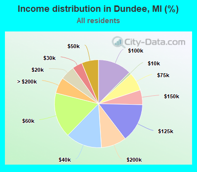 Income distribution in Dundee, MI (%)