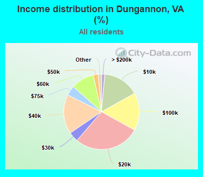 Income distribution in Dungannon, VA (%)