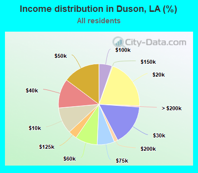 Income distribution in Duson, LA (%)