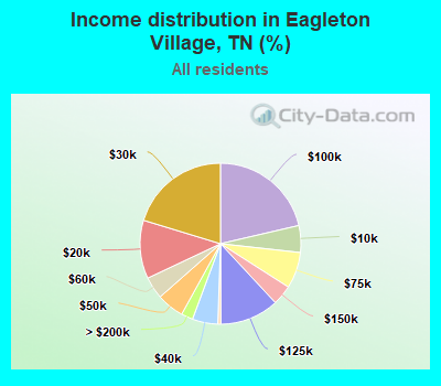 Income distribution in Eagleton Village, TN (%)