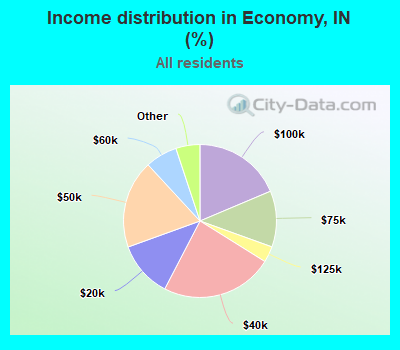 Income distribution in Economy, IN (%)