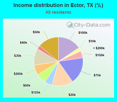 Income distribution in Ector, TX (%)