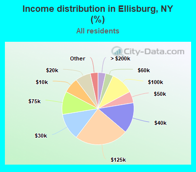 Income distribution in Ellisburg, NY (%)