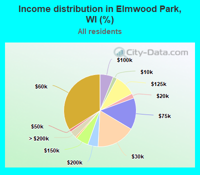 Income distribution in Elmwood Park, WI (%)