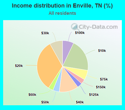 Income distribution in Enville, TN (%)