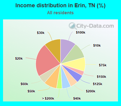 Income distribution in Erin, TN (%)