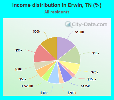 Income distribution in Erwin, TN (%)