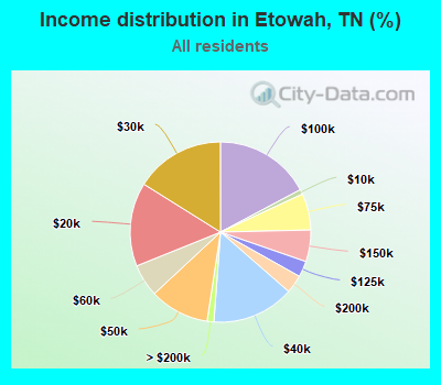 Income distribution in Etowah, TN (%)