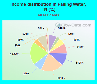 Income distribution in Falling Water, TN (%)