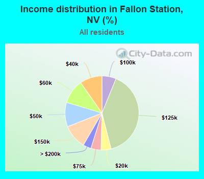 Income distribution in Fallon Station, NV (%)