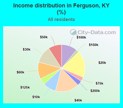 Income distribution in Ferguson, KY (%)