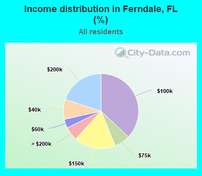 Income distribution in Ferndale, FL (%)