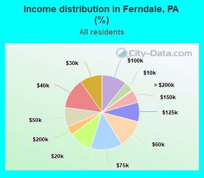 Income distribution in Ferndale, PA (%)