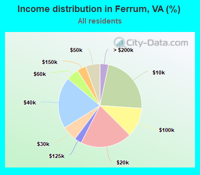 Income distribution in Ferrum, VA (%)