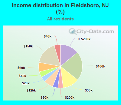 Income distribution in Fieldsboro, NJ (%)