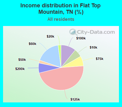 Income distribution in Flat Top Mountain, TN (%)