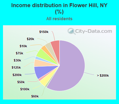 Income distribution in Flower Hill, NY (%)