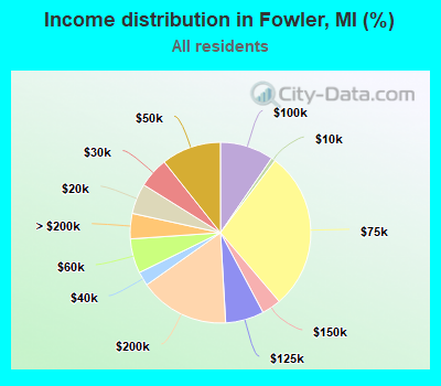 Income distribution in Fowler, MI (%)