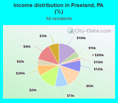 Income distribution in Freeland, PA (%)