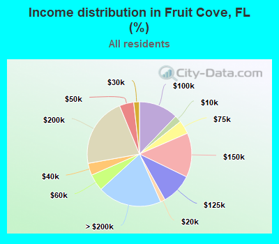 Income distribution in Fruit Cove, FL (%)