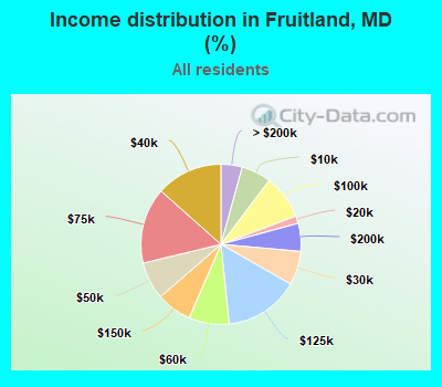 Income distribution in Fruitland, MD (%)