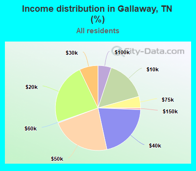 Income distribution in Gallaway, TN (%)