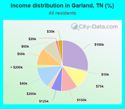 Income distribution in Garland, TN (%)