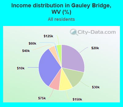 Income distribution in Gauley Bridge, WV (%)