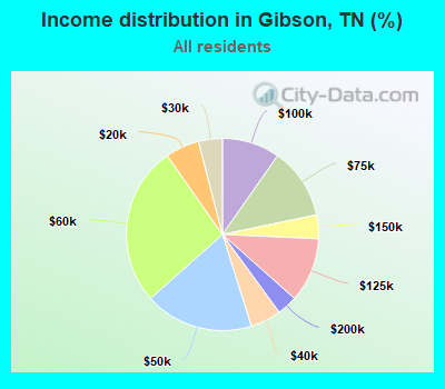 Income distribution in Gibson, TN (%)