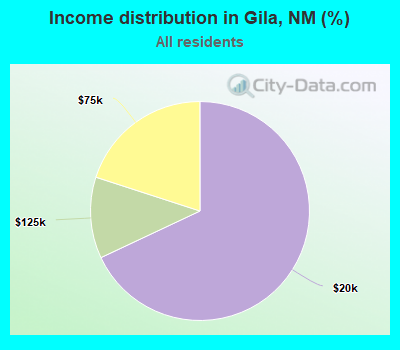 Income distribution in Gila, NM (%)