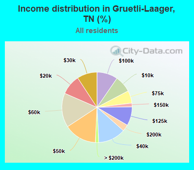 Income distribution in Gruetli-Laager, TN (%)