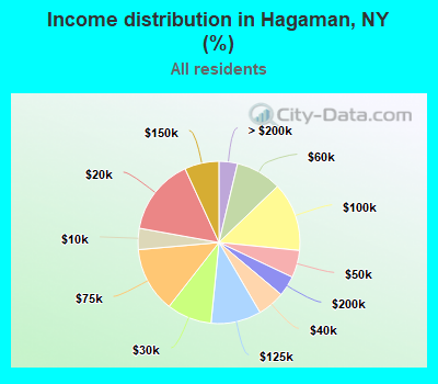 Income distribution in Hagaman, NY (%)