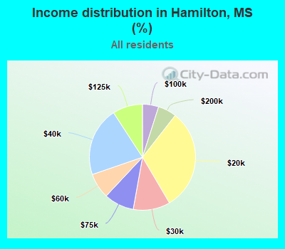 Income distribution in Hamilton, MS (%)