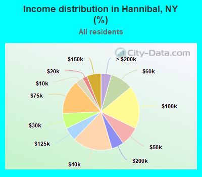 Income distribution in Hannibal, NY (%)