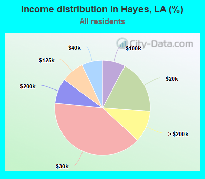 Income distribution in Hayes, LA (%)